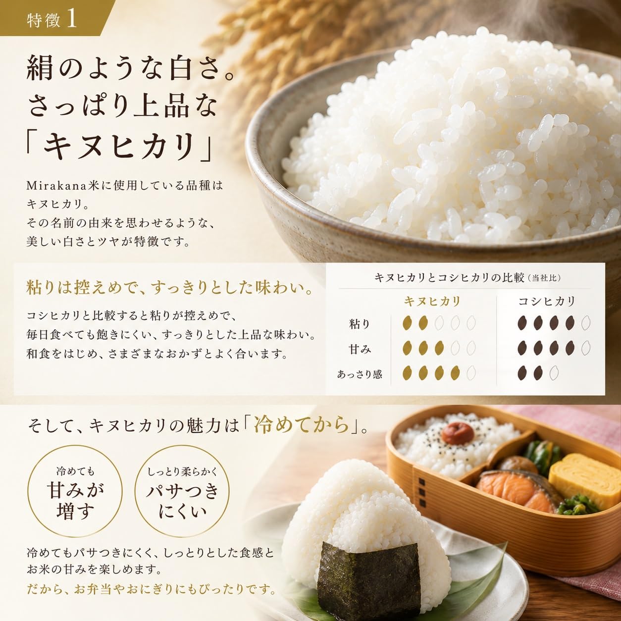 Amazon.co.jp: 【Mirakana】令和7年産 キヌヒカリ 兵庫県産 Mirakana